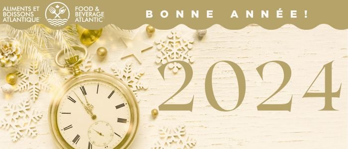 Happy New Year Newsletter Banner 700x300 (6)